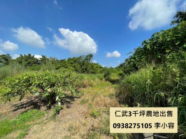 高雄仁武農地-0