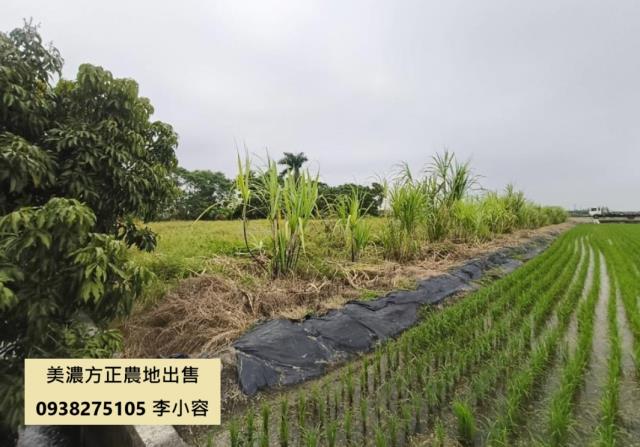 高雄美濃農地-1