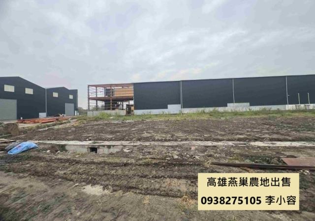 燕巢農地-0