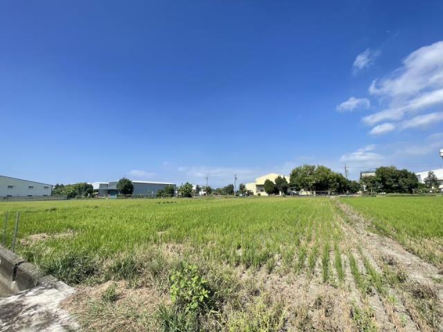 大寮農地-2